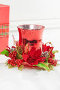 6" Poinsettia & Pine Centerpiece