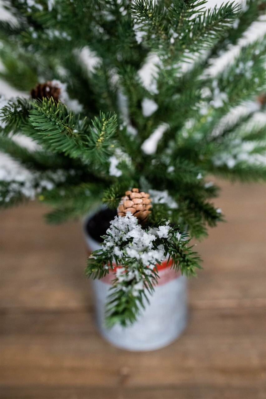 24” Farmhouse Potted Snowy Pine Tree