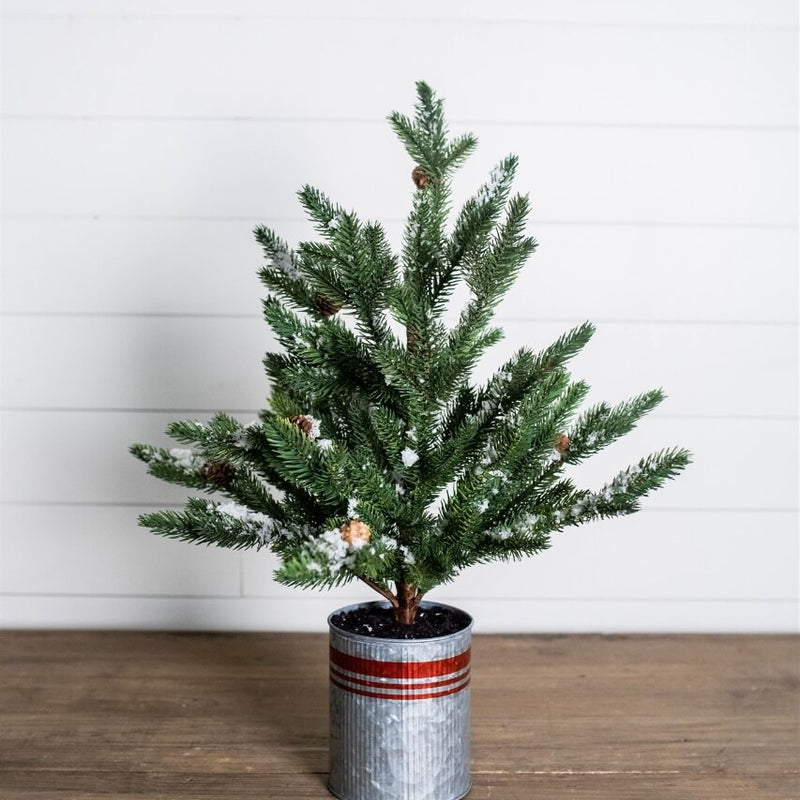 24” Farmhouse Potted Snowy Pine Tree
