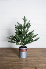 24 Inchi Farmhouse Potted Snowy Pine Tree Rustic Winter Holiday Décor