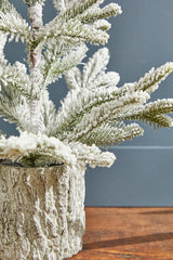18 Inchi Potted Noble Fir Tree with Snow Winter Christmas Tabletop Decor