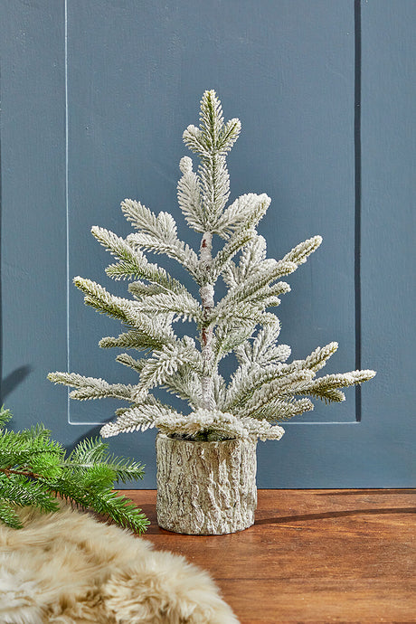 18" Potted Noble Fir Tree with Snow