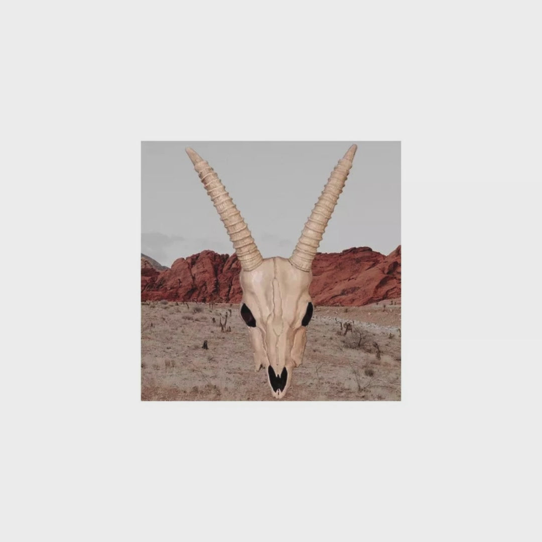 Skeleton Gazelle Head – 18" Halloween Skull Decoration