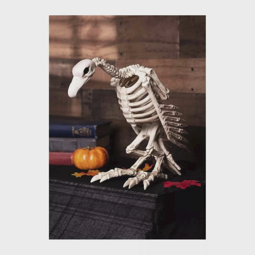 Skeleton Vulture Halloween Decoration, 10 x 17 x 5 in