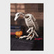 Skeleton Vulture Halloween Decoration, 10 x 17 x 5 in