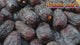 Traders Joe's  Organic Pitted Medjool Dates