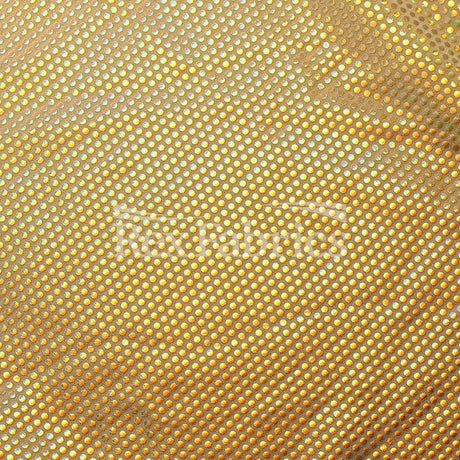 Pulse Holo Nylon Spandex Fabric - Gold/Black, Gold/Gold, Silver/Black, Silver/White Polka Dots, 58/60" Width, 210 GSM (1 Yard)