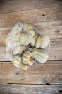 6 Piece Pumpkins & Gourds Set