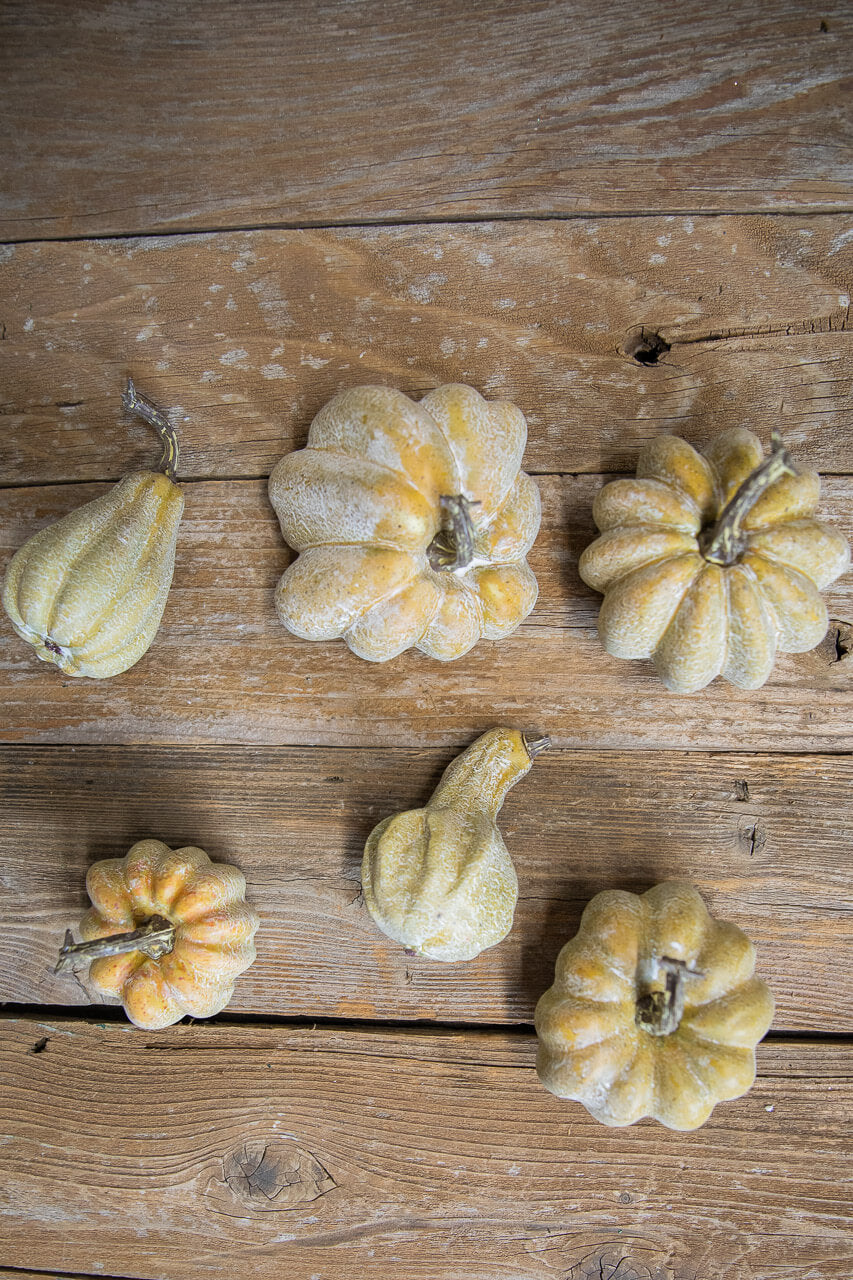 6 Piece Pumpkins & Gourds Set