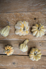 6 Piece Pumpkins & Gourds Set