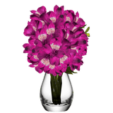Purple Alstroemeria Stems Flower Bouquets