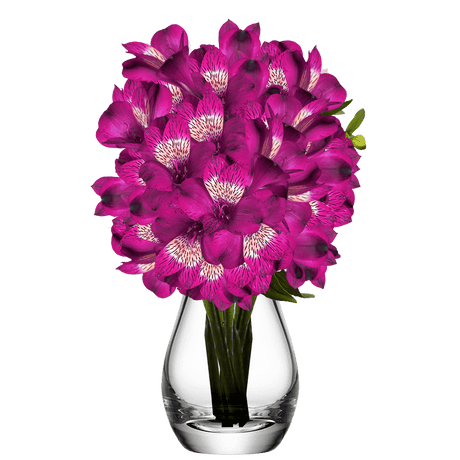 Purple Alstroemeria Stems Flower Bouquets
