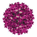 Purple Alstroemeria Stems Flower Bouquets