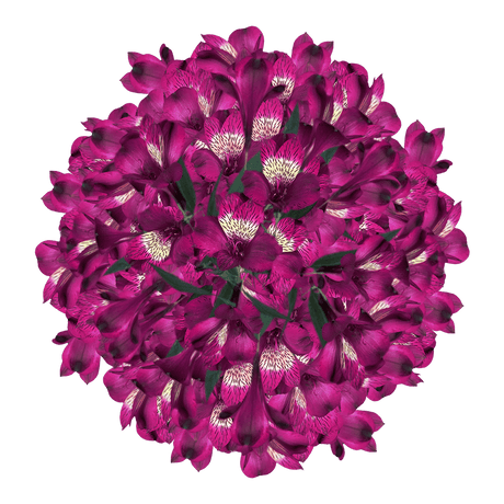 Purple Alstroemeria Stems Flower Bouquets
