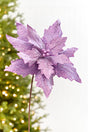 19" x 13.5" Lavender Glitter Poinsettia Stem