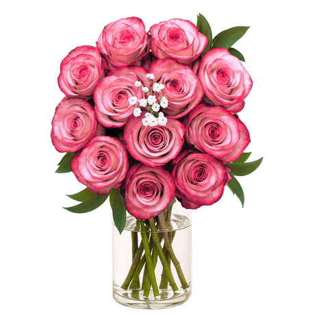 Deep Purple Roses 3 Dozen Fresh Cut Roses with Fillers