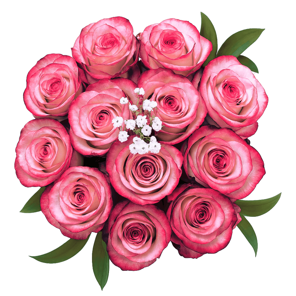 Deep Purple Roses 3 Dozen Fresh Cut Roses with Fillers