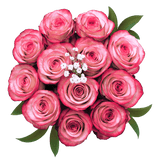 Deep Purple Roses 3 Dozen Fresh Cut Roses with Fillers