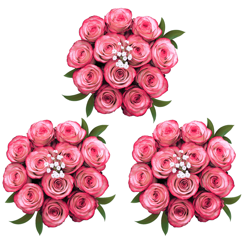 Deep Purple Roses 3 Dozen Fresh Cut Roses with Fillers