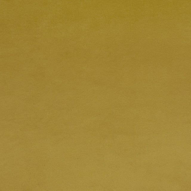 Cuddle Fabric Solid Golden Per Yard