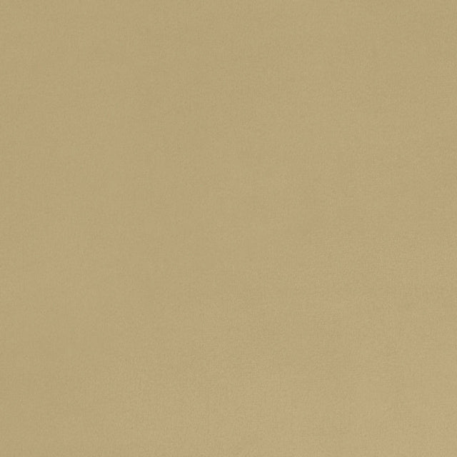 Minky Cuddle Fabric Solid Honey Per Yard