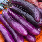 Eggplant Long Purple Seeds 200 Plus Vegetable Garden Heirloom Non GMO USA