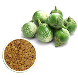 Giant Thai Eggplant Seeds 20 Seeds Green Round Thai Eggplant Organic Variety