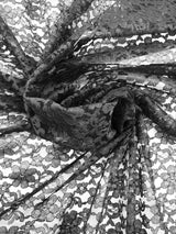Black Rachelle Lace Polyester Fabric - Sheer Floral Lace, Black, 58/60" Width