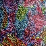 Swim Knit Nylon Lycra Rainbow Colored Leopard Print