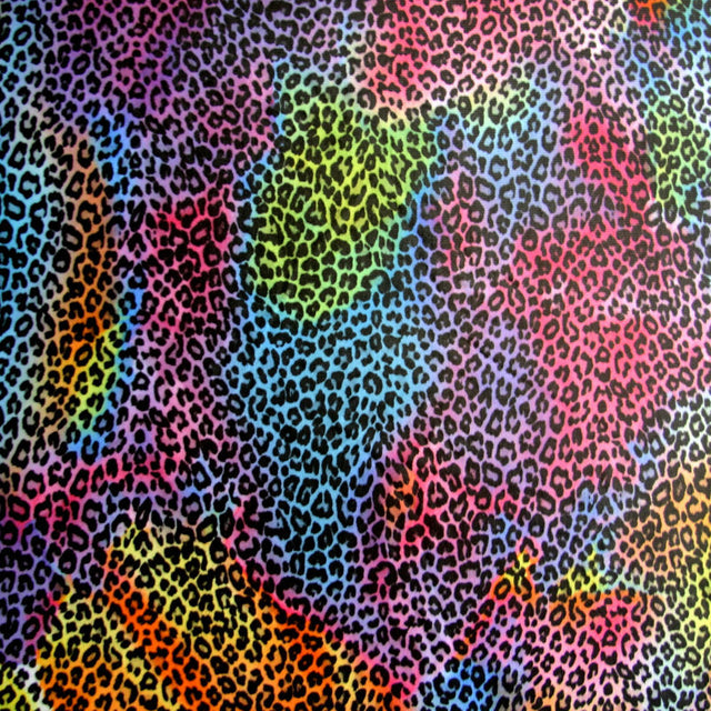 Swim Knit Nylon Lycra Rainbow Colored Leopard Print