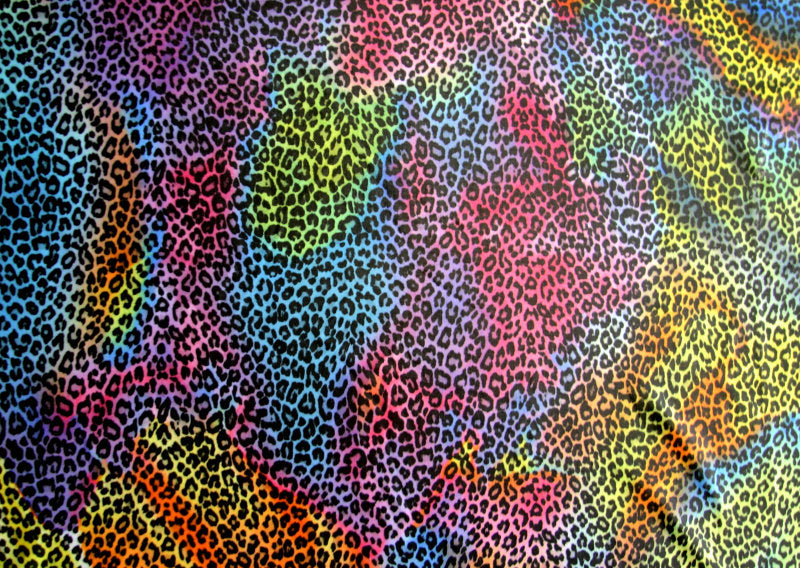 Swim Knit Nylon Lycra Rainbow Colored Leopard Print