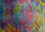 Swim Knit Nylon Lycra Rainbow Colored Leopard Print