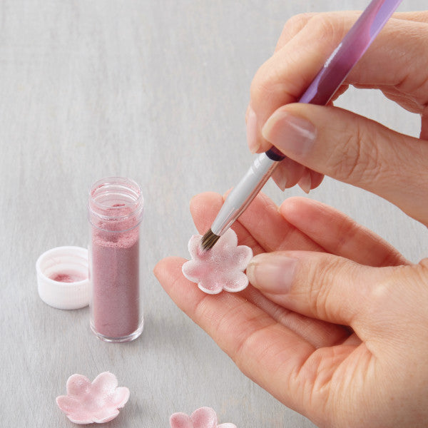 Wilton Cake Decorating Brush Set – 5 Piece