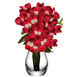 Red Alstroemeria Stems Flower Bouquets