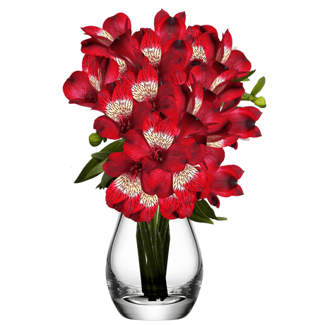 Red Alstroemeria Stems Flower Bouquets