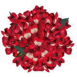 Red Alstroemeria Stems Flower Bouquets