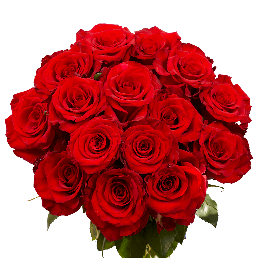 Romantic Rose & Lily Fresh Flower Bouquet Premium Floral Gift
