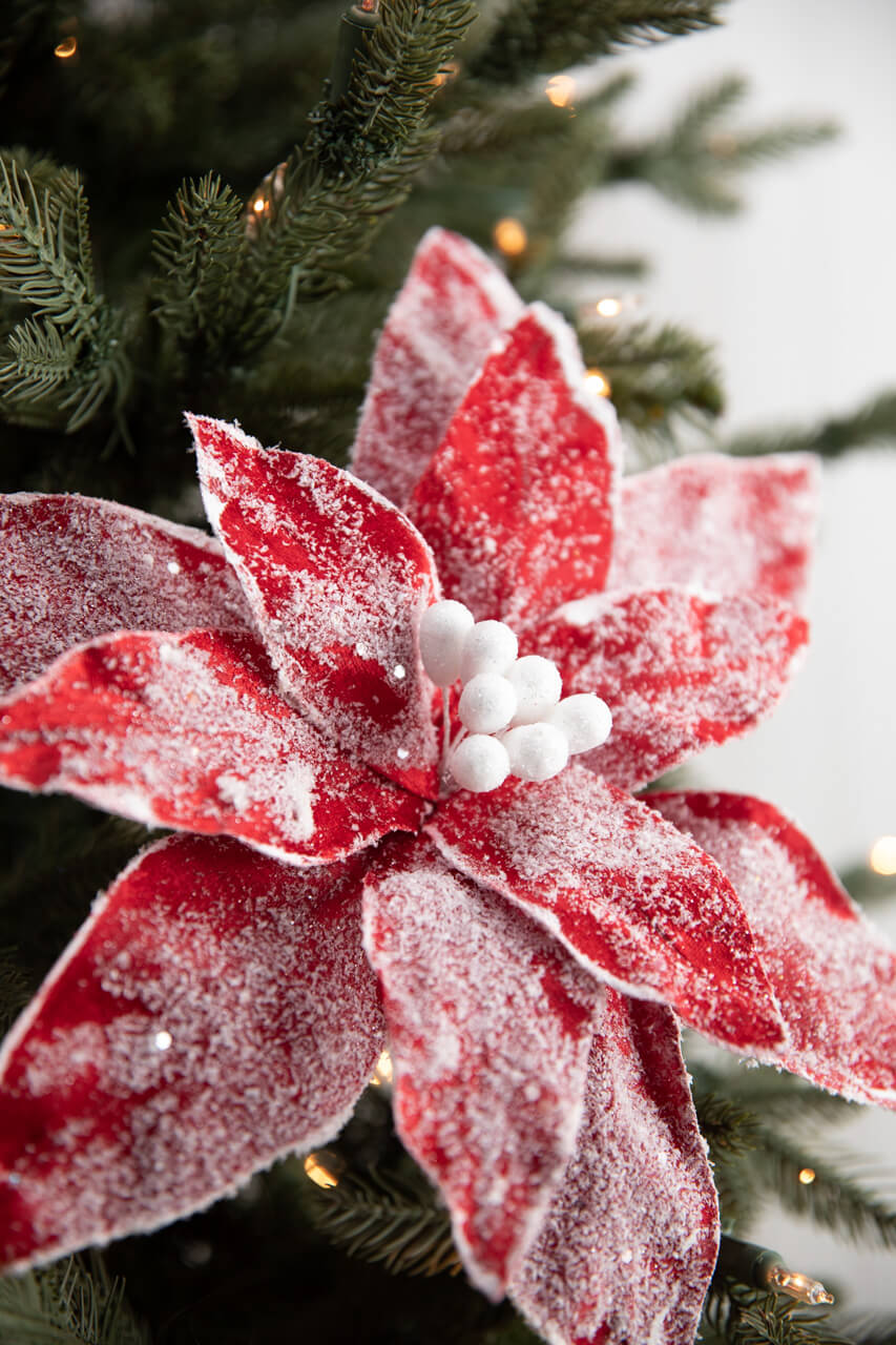 22” x 13" Sugar Poinsettia Spray - Red