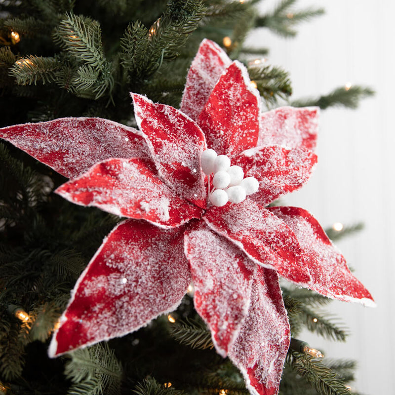 22” x 13" Sugar Poinsettia Spray - Red