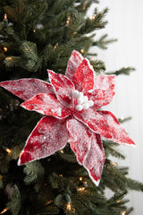 22” x 13" Sugar Poinsettia Spray - Red