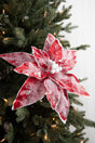 22” x 13" Sugar Poinsettia Spray - Red