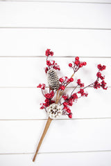 18” Frosted Red Melting Snow Berries with Cone Spray