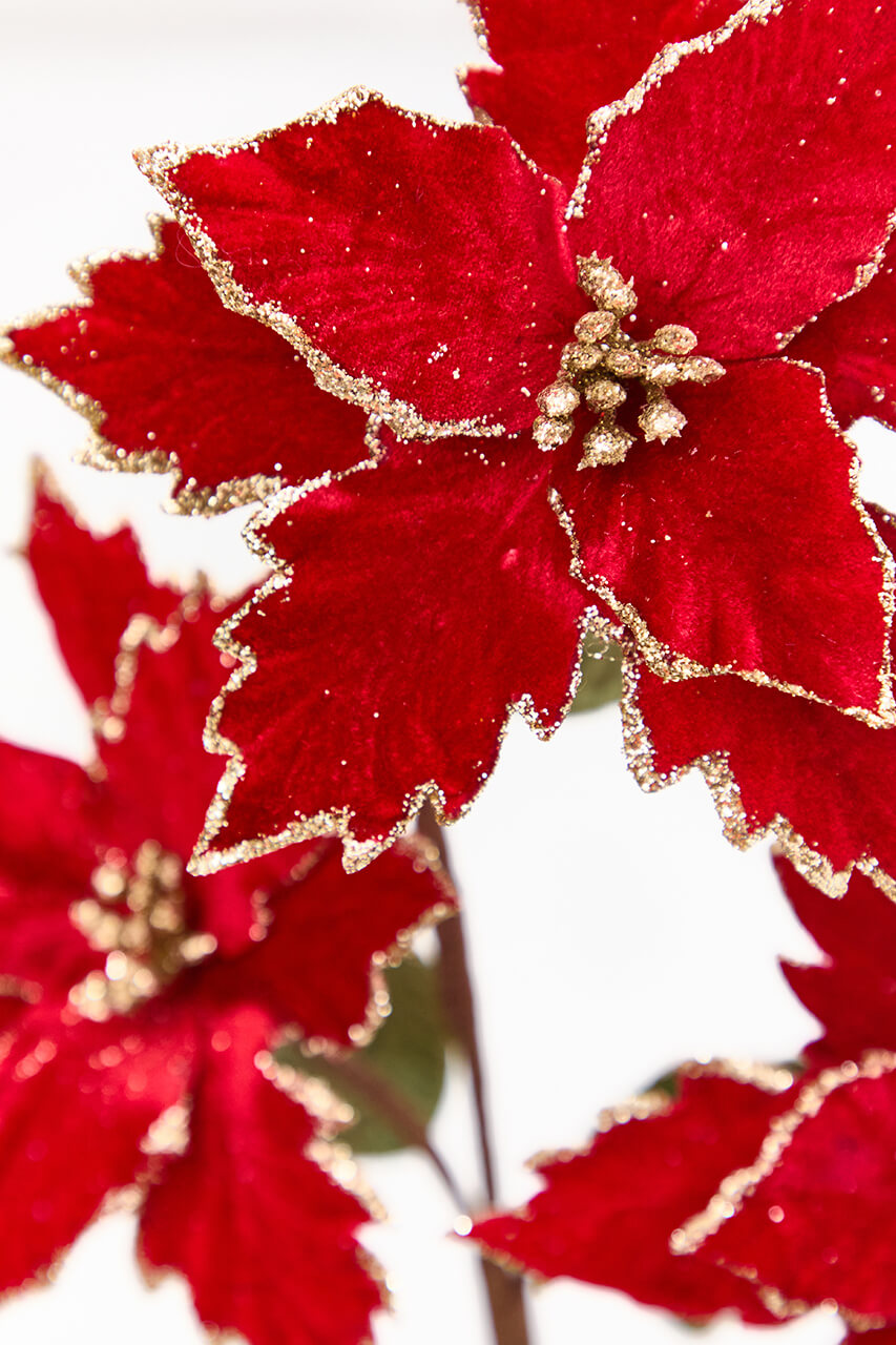 26" Red with Gold Glitter Poinsettia Spray