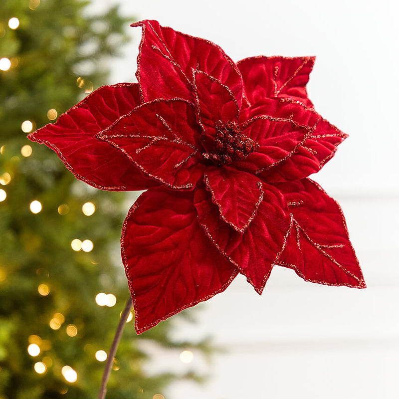 22" x 13" Red Velvet Poinsettia Stem