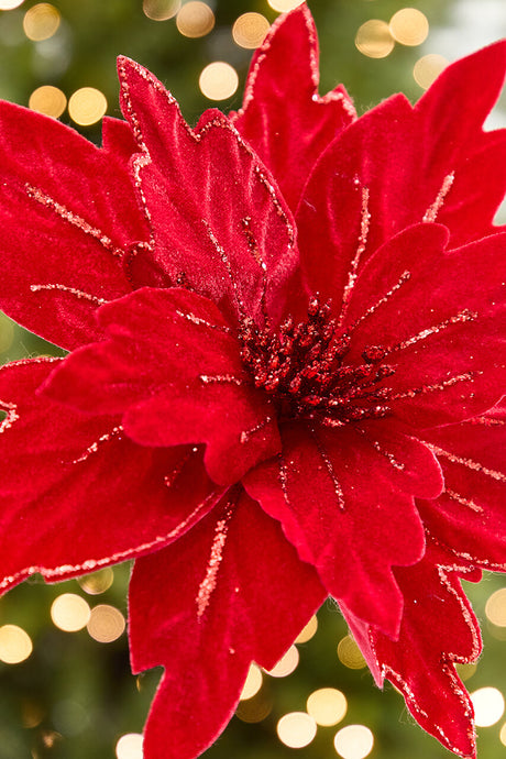 19” x 13.5" Velvet Glitter Poinsettia Stem