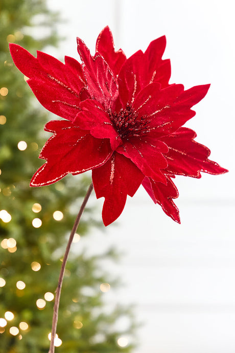 19” x 13.5" Velvet Glitter Poinsettia Stem