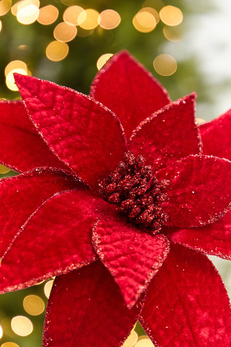24” x 12" Red Velvet Glitter Edge Jewel Poinsettia Stem