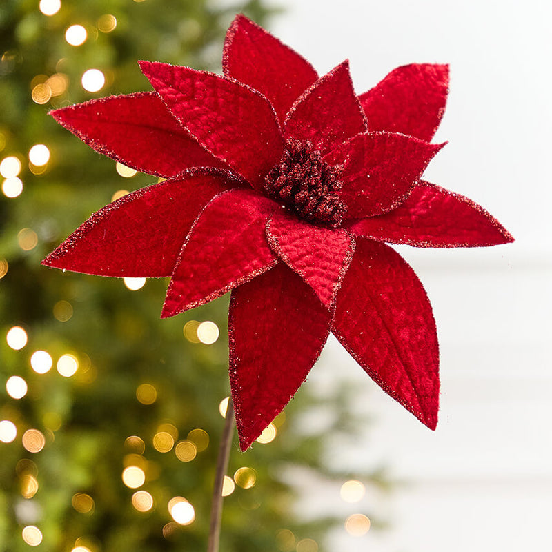 24” x 12" Red Velvet Glitter Edge Jewel Poinsettia Stem