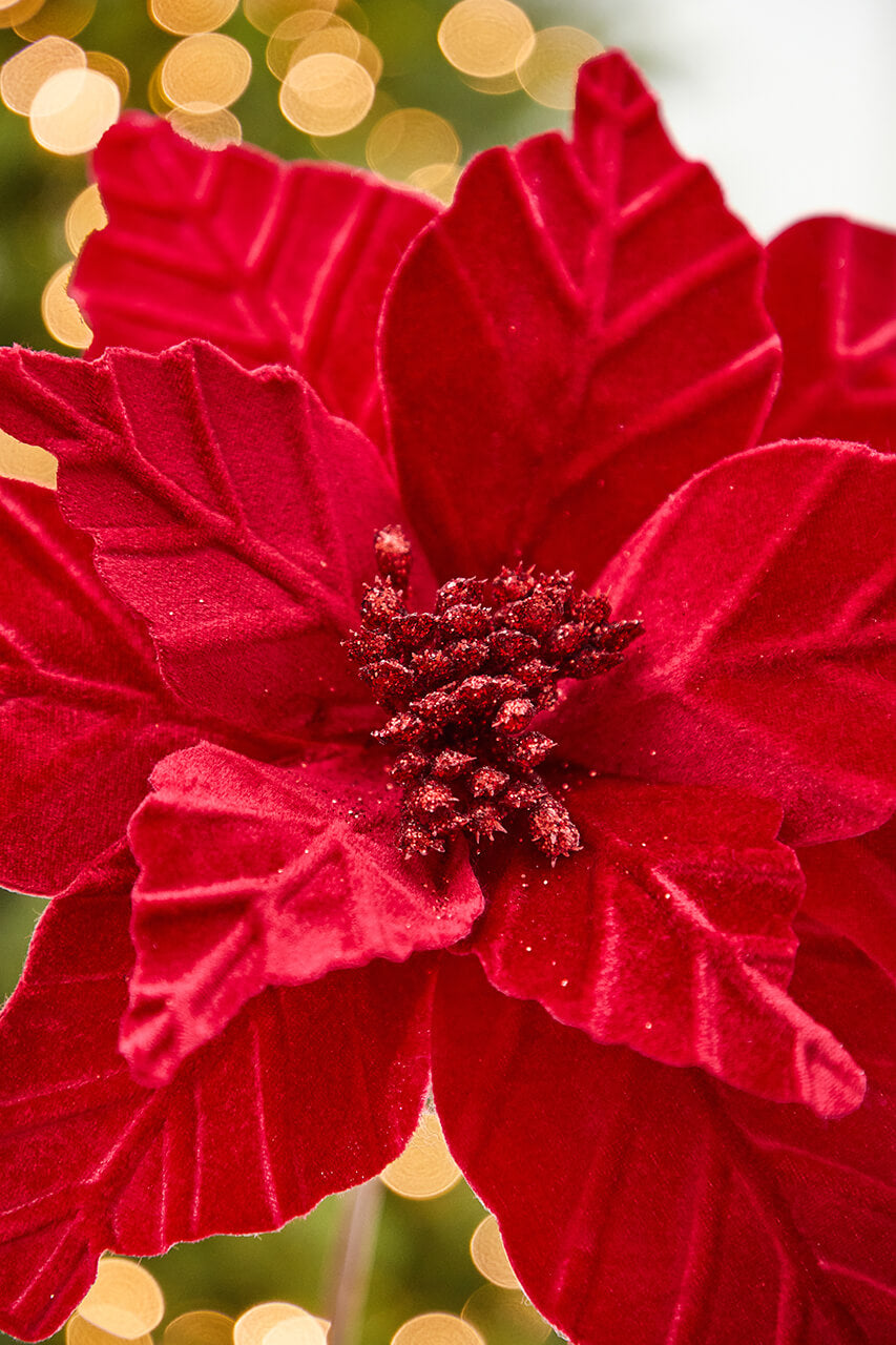 24" x 12" Red Velvet Glitter Center Poinsettia Stem