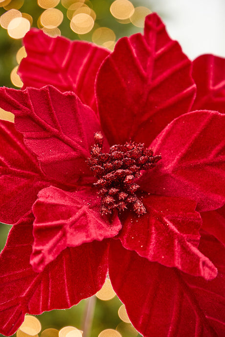 24" x 12" Red Velvet Glitter Center Poinsettia Stem
